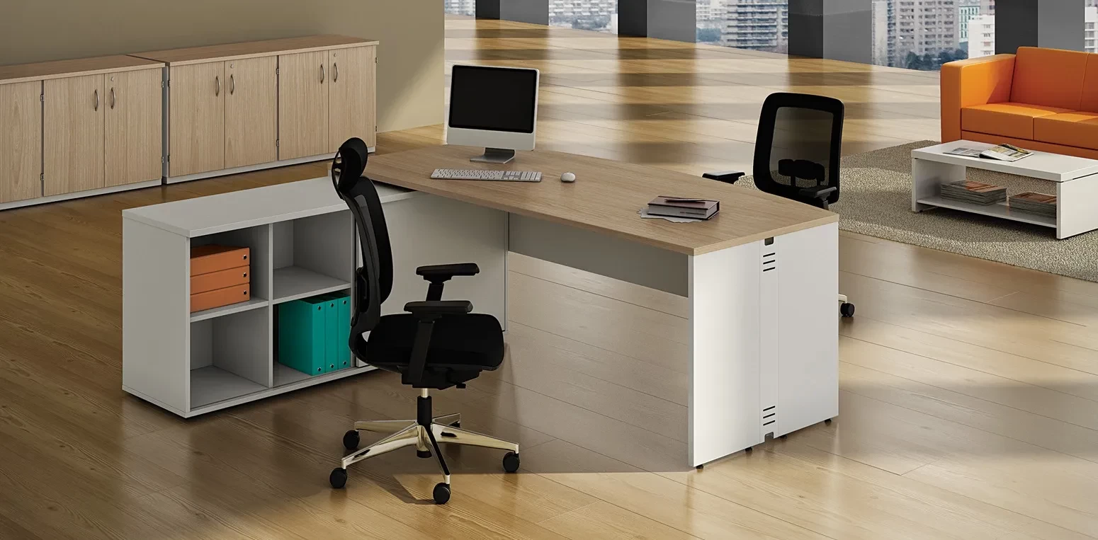 Mesa Executiva